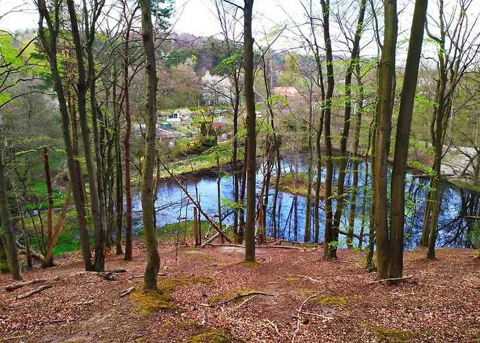 Apartmán Miedzy Lasem A Morzem Sopoty