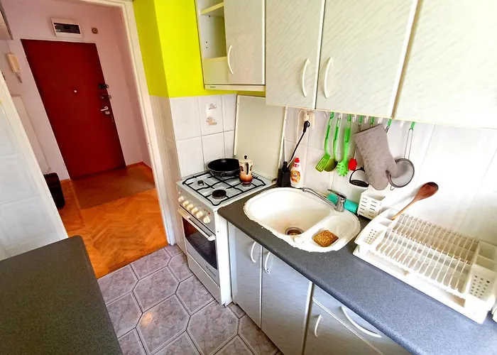 Miedzy Lasem A Morzem Sopoty