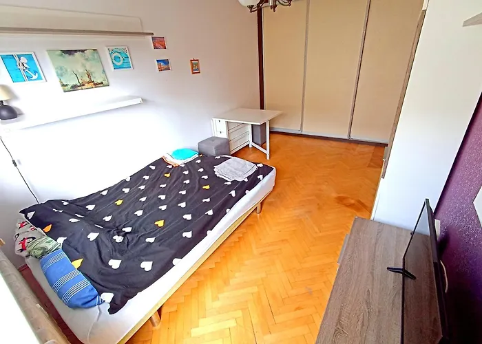 Miedzy Lasem A Morzem Sopoty